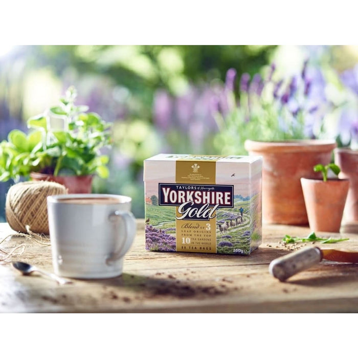 Taylors of Harrogate Tea Yorkshire Gold