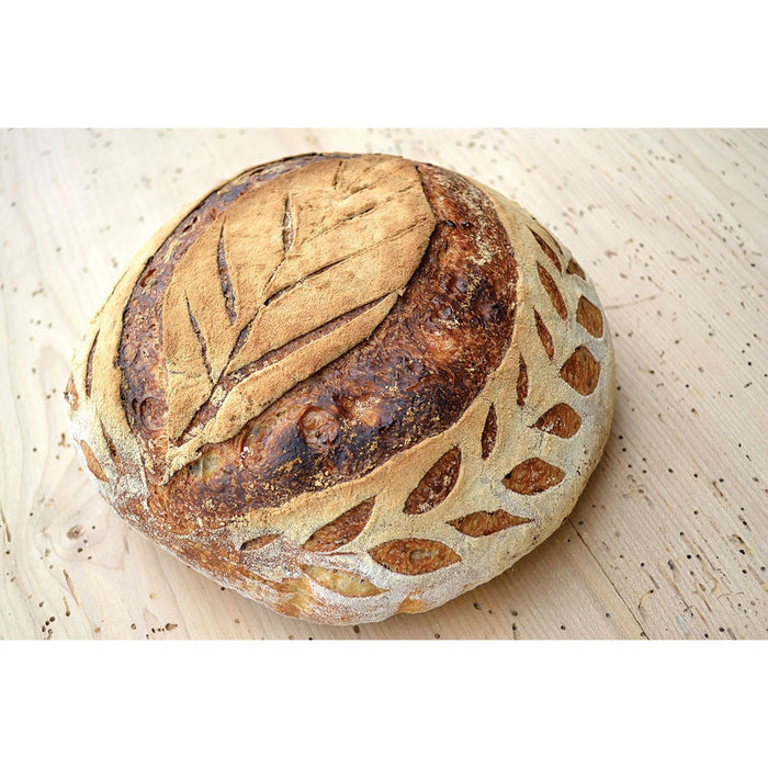 Lame Artisan Bread 15pc Blades