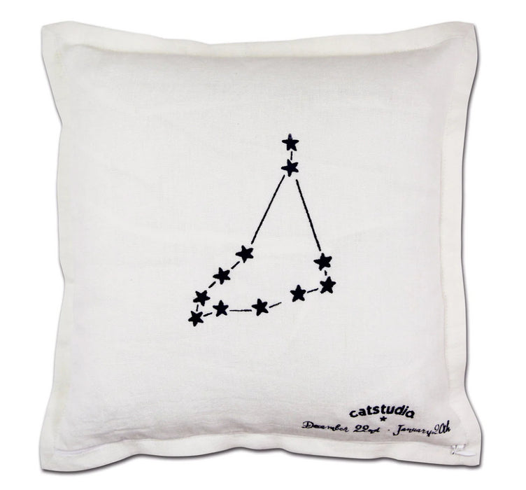 Pillow Capricorn