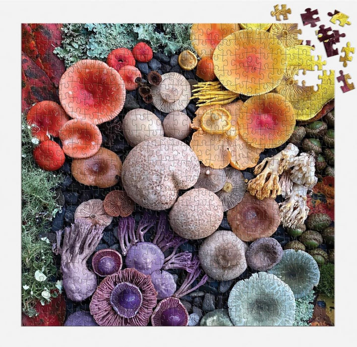 Puzzle Shrooms In Bloom 500