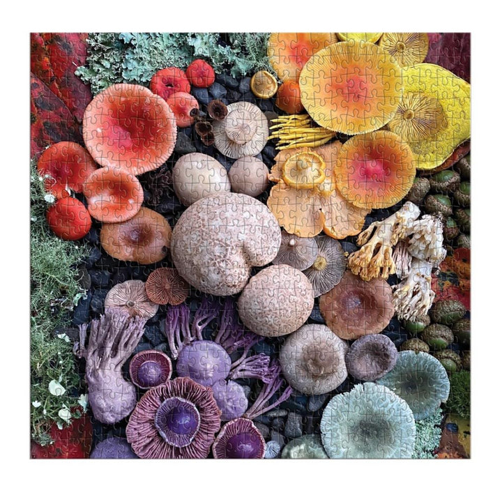 Puzzle Shrooms In Bloom 500