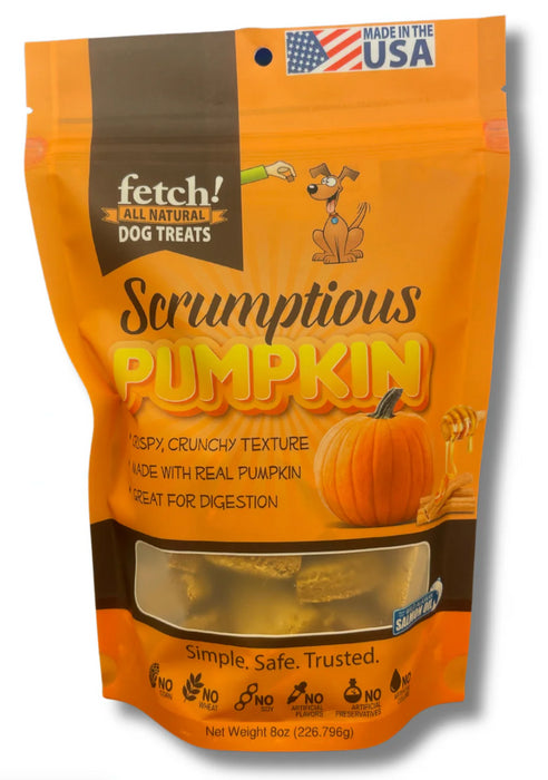 Biscuit Dog Pumpkin & Honey