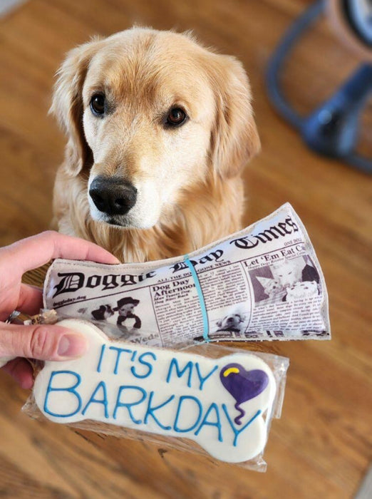 Dog Cookie 6" It's My Barkday