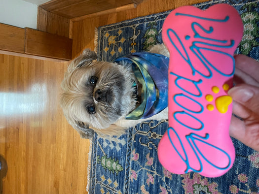 Cookie Dog Good Girl Pink 6"
