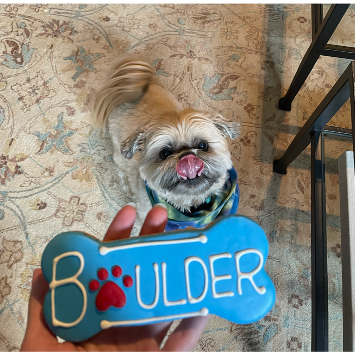 Cookie Dog Boulder Blue/White