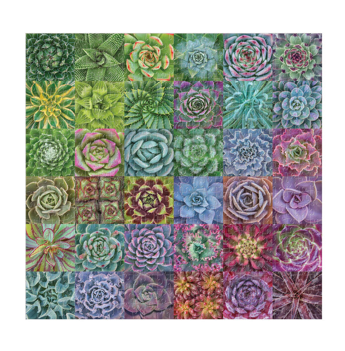 Puzzle 500pc Succulent Spectrum