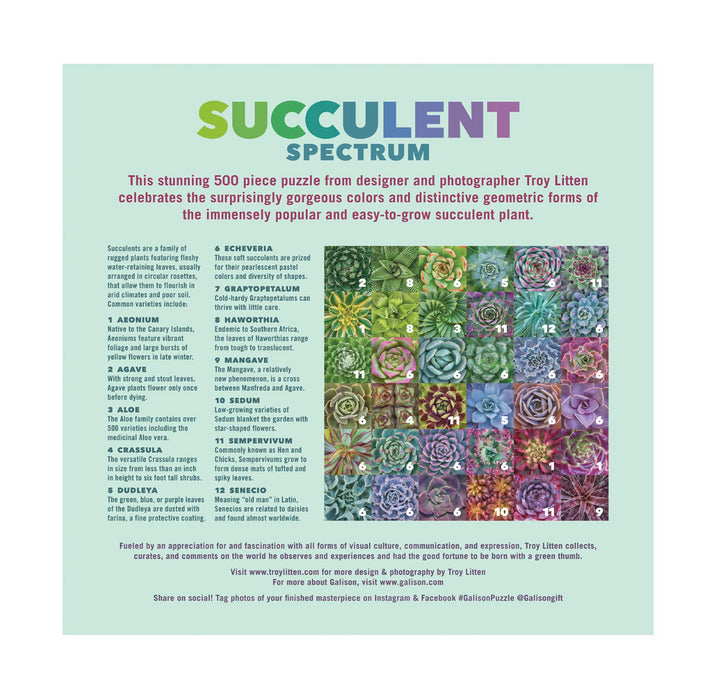 Puzzle 500pc Succulent Spectrum