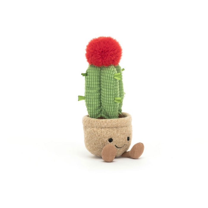 Moon Cactus Amuseables