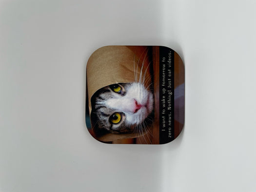 Coaster Just Cat Videos