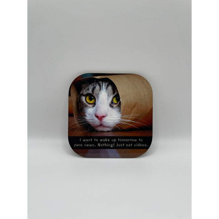 Coaster Just Cat Videos