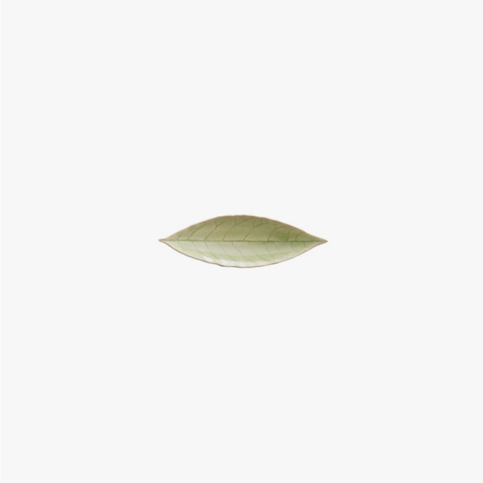 Laurel Leaf 7 Riviera Vert Frais