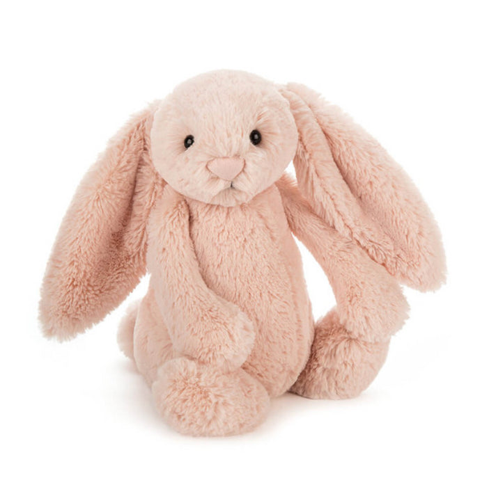 Bashful Beau Bunny Md