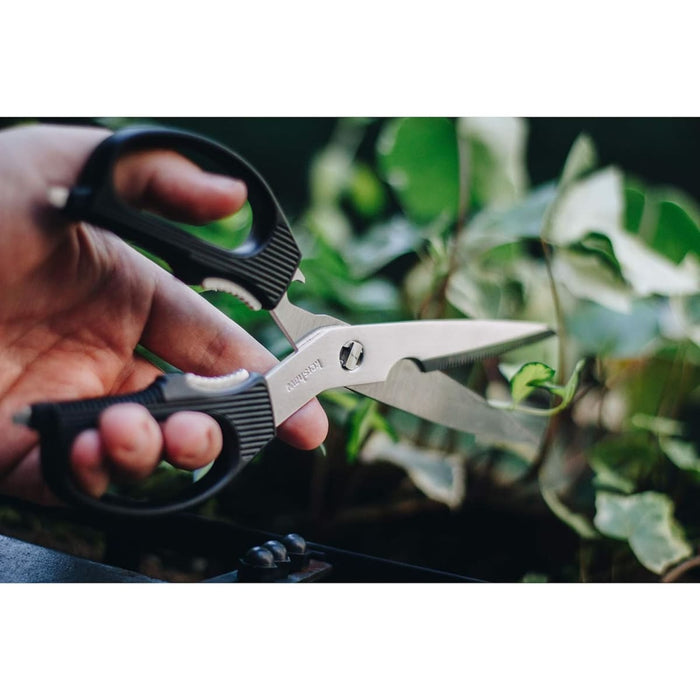 Shears Kitchen