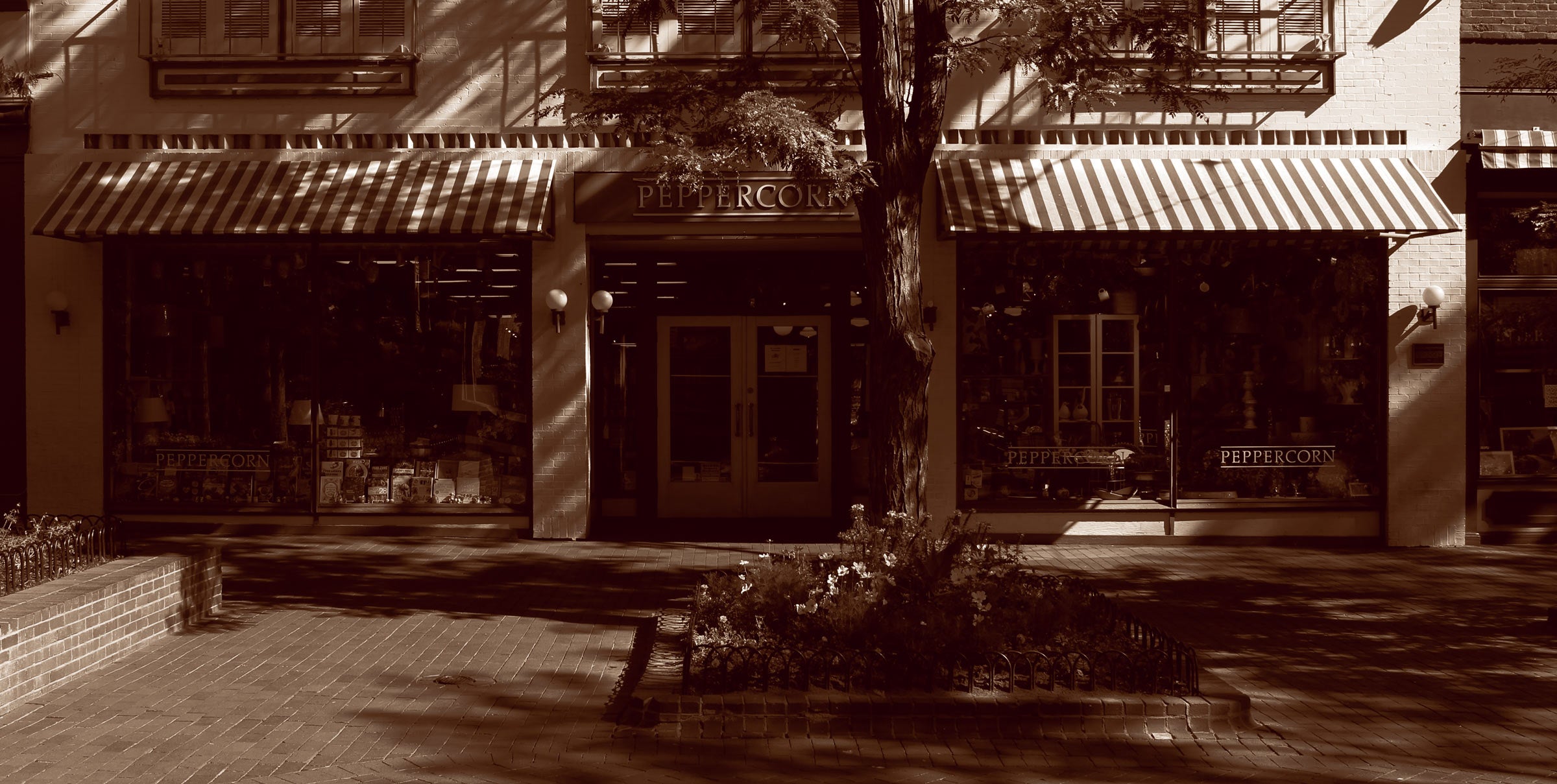 Peppercorn Give the Perfect Gift Boulder, CO